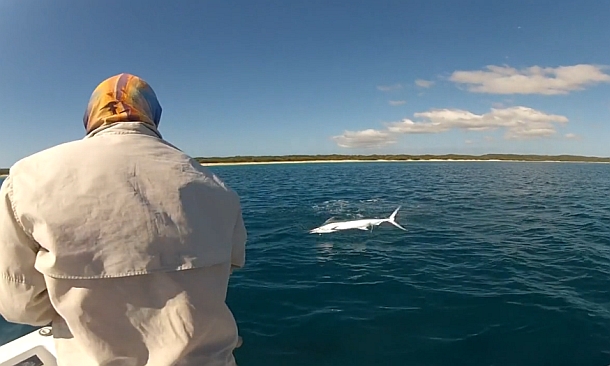 Fisho's Scott Thomas filming Bushy talking about Squidgy's new prawn lures.